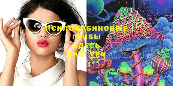 дживик Балахна