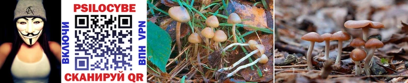 Галлюциногенные грибы Magic Shrooms Новомосковск
