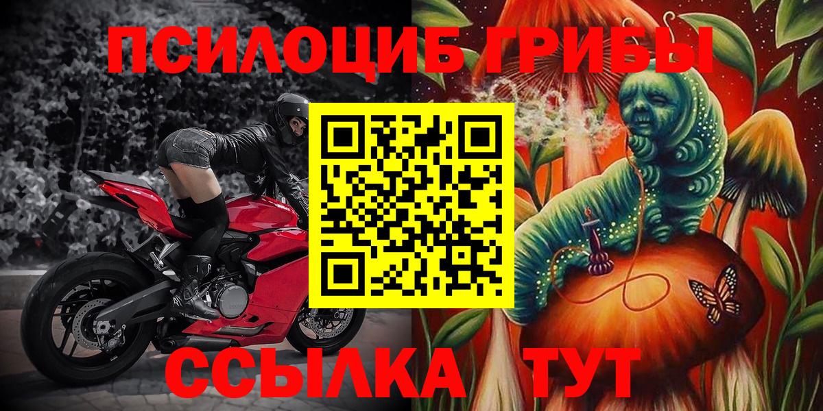 Галлюциногенные грибы Psilocybine cubensis  Вход с VPN  Псилоцибиновые грибы Psilocybe  Новомосковск 