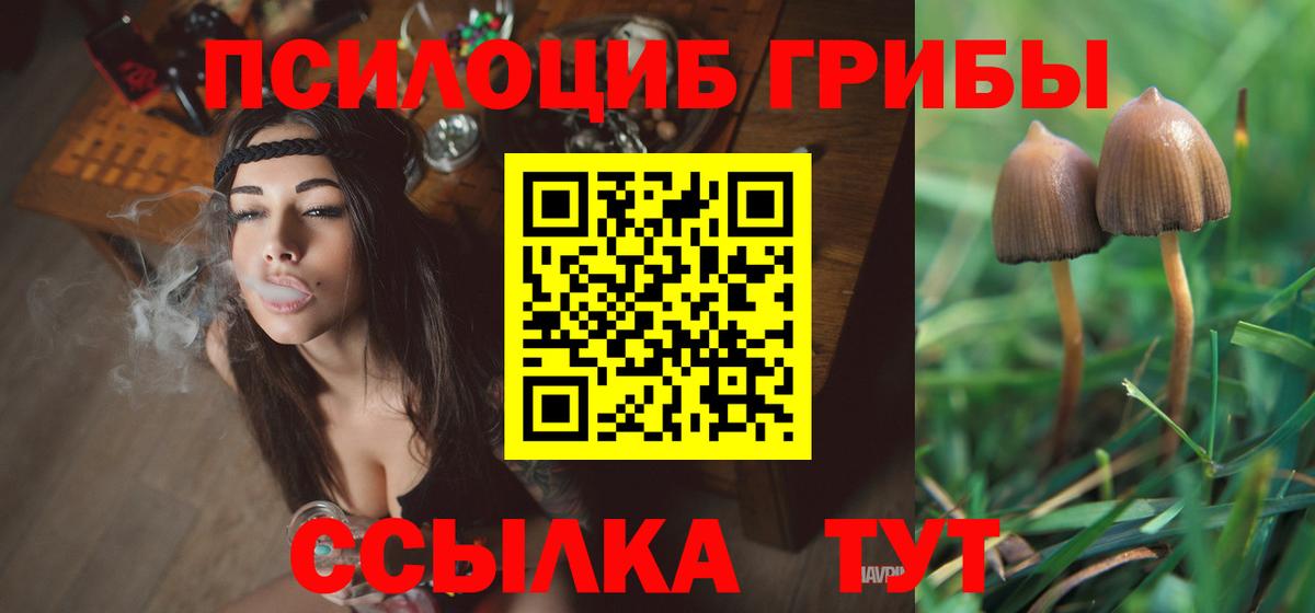 Галлюциногенные грибы MAGIC MUSHROOMS Новомосковск